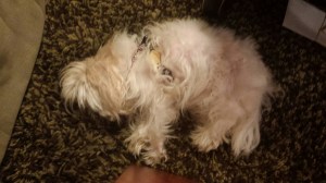 20140802_232009_resized