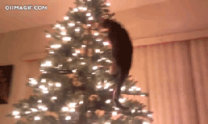 cat-christmas-tree-climbing-fail
